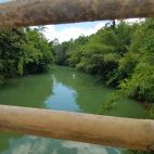 20170808_120531.jpg