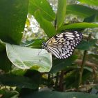 20170808_103926.jpg