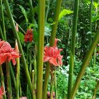 20170808_105146.jpg