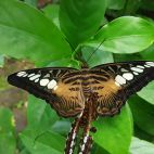 20170808_104238.jpg
