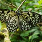 20170808_104439.jpg