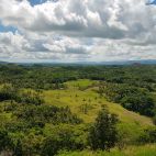 20170808_095619.jpg