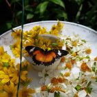 20170808_103743.jpg