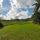 20170808_083950.jpg
