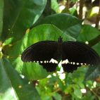 20170808_103839.jpg