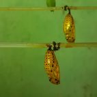 20170808_103406.jpg