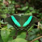 20170808_104400.jpg